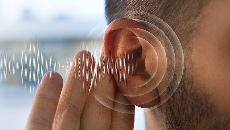 Curiosidades sobre o ouvido e a audição