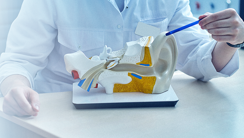 Qual é o papel da audição nas funções cerebrais e na cognição?